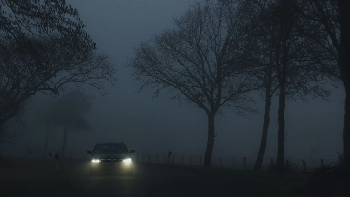 A car with its headlights on drives through dense night-time fog past bare, silhouetted roadside trees