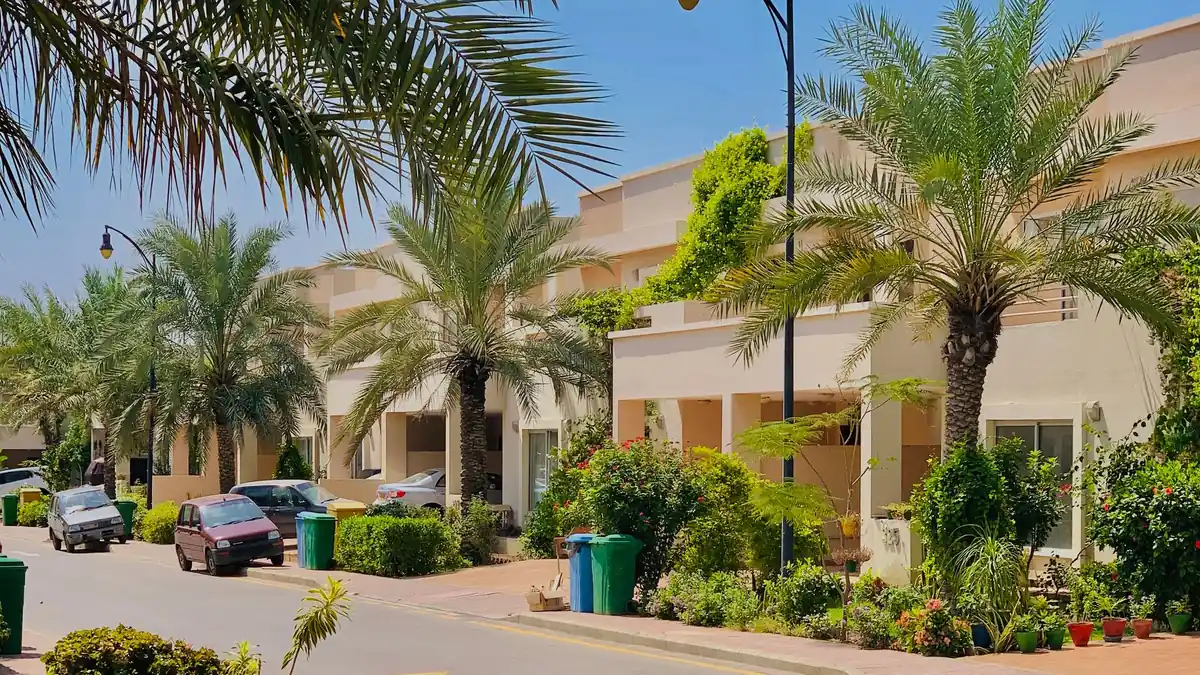 Quiet residential street lined with palm trees and bungalows, with a few cars parked along the kerb