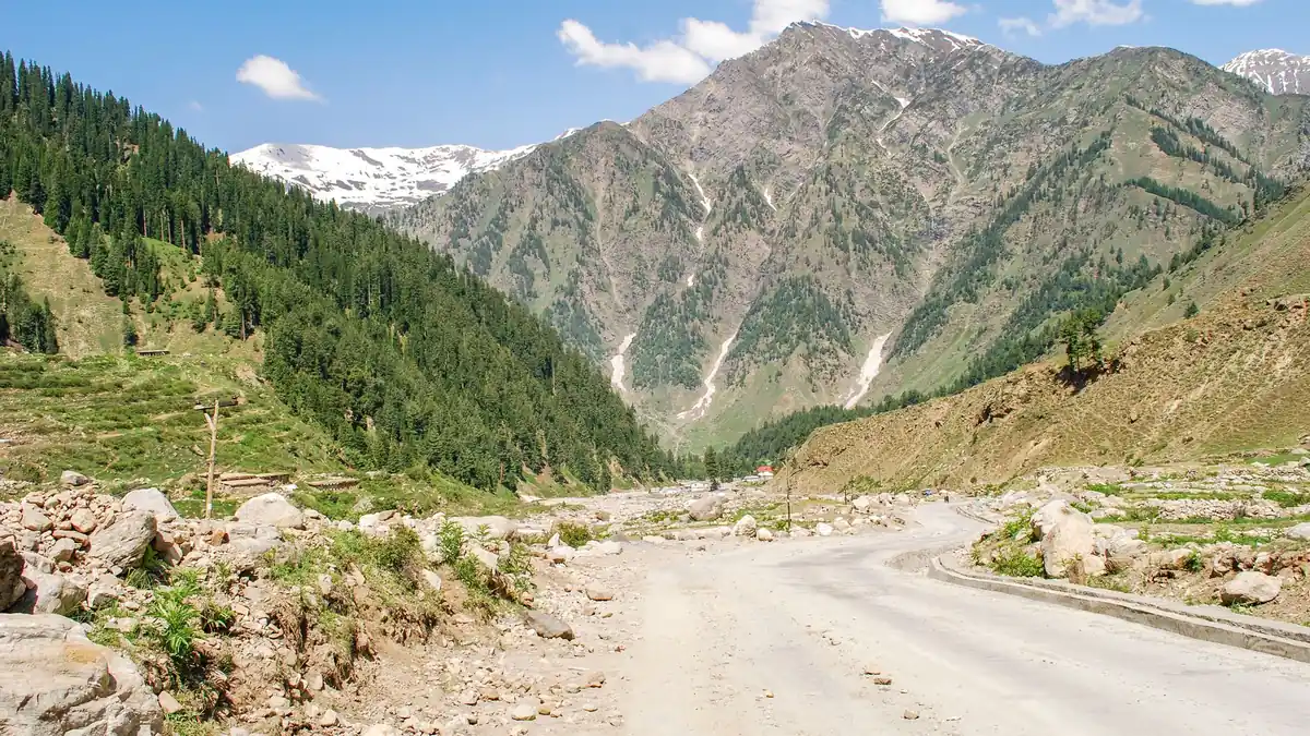 Unpaved mountain road winding through a green valley with pine forest and snow-dusted peaks under a blue sky