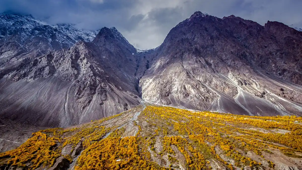 Rugged grey mountain peaks under cloud above a slope of golden autumn shrubs in the Chitral region