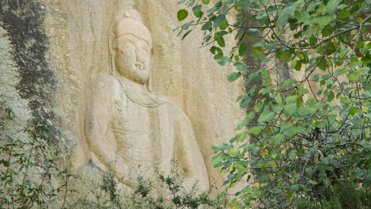 Seated Buddha figure carved into a pale rock face, framed by green leaves and climbing plants