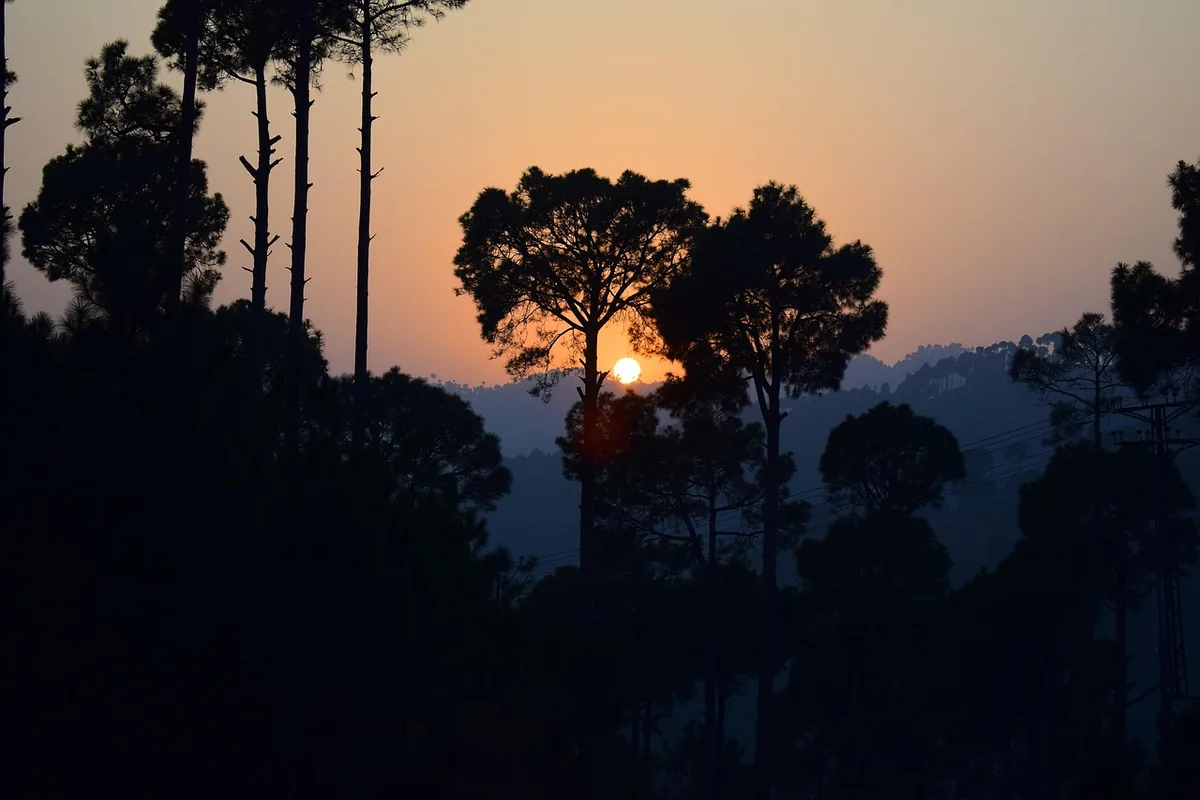 Evening in the Murree hills Trees silhouetted against an orange sunset over layered hills